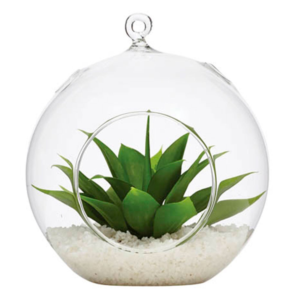 Hanging glass planter