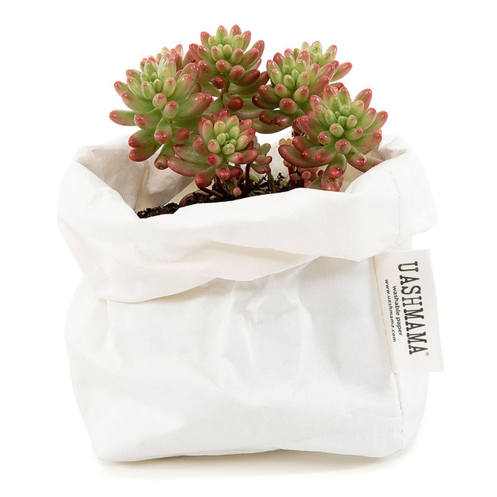 Paper bag planter