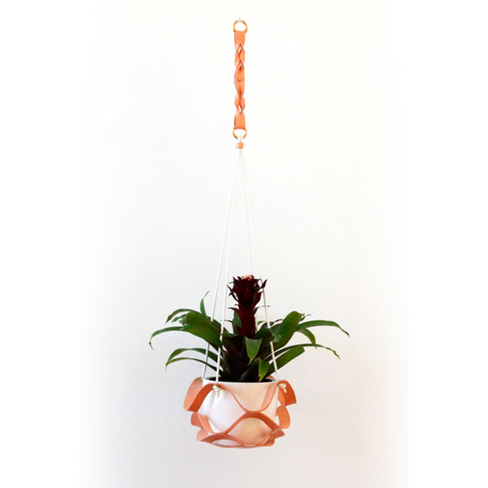 Hanging plant holder