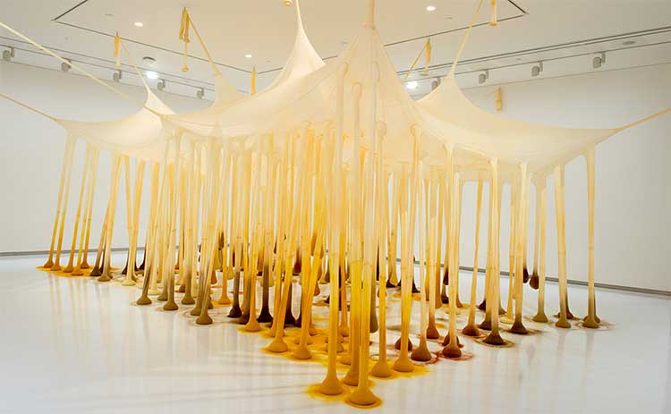 Just like drops in time, nothing by Ernesto Neto at Auckland Art Gallery