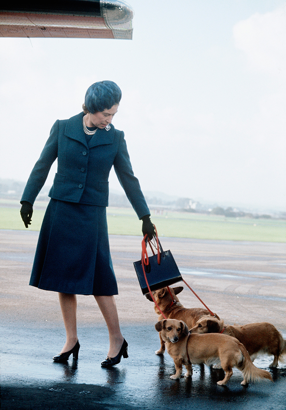 The Queen, in a navy skirt suit, arrives at Aberdeen Airport with her corgis to start her holidays in Balmoral, Scotland in 1974. Photo / Getty Images