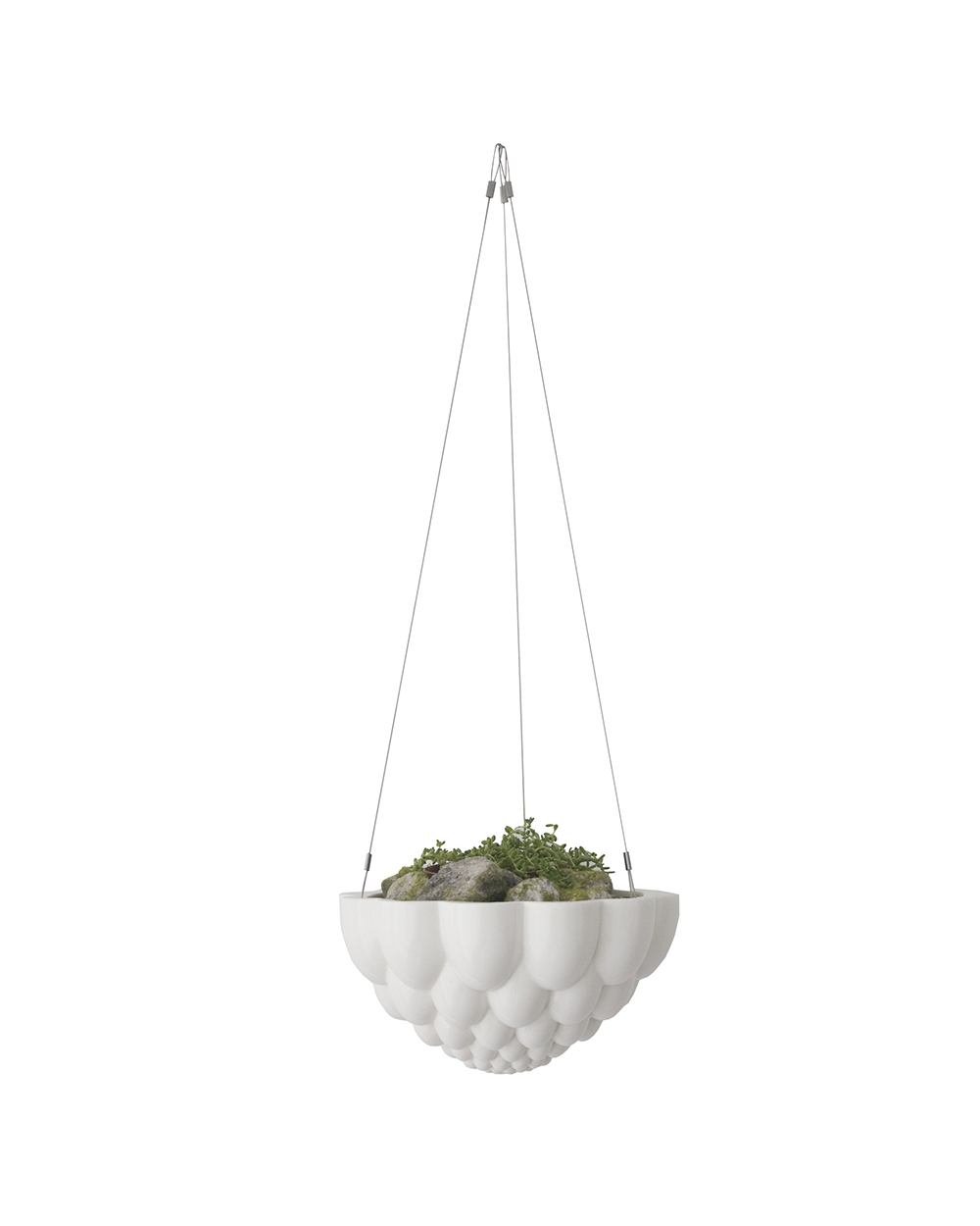 Angus and Celeste jelly mould hanging planter