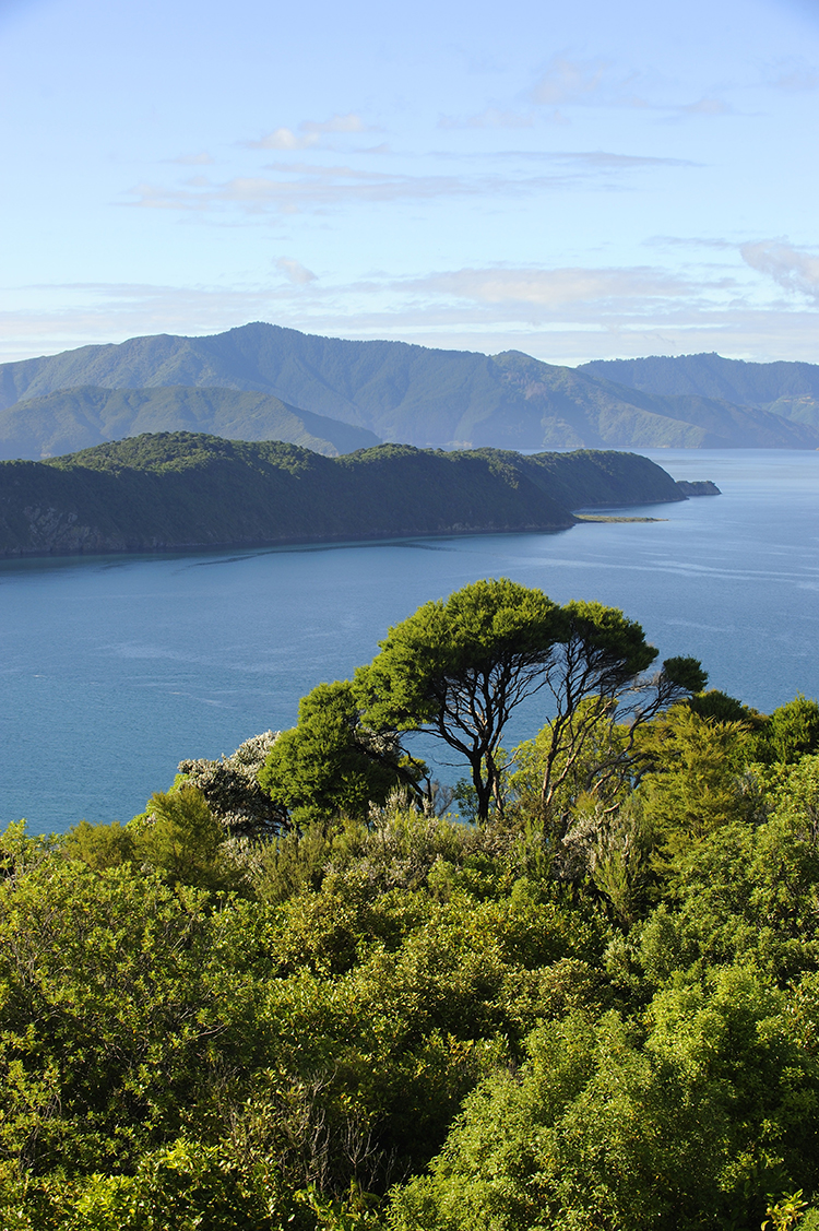 Dame Pieter Stewart spends her summers at a bach in the Marlborough Sounds.