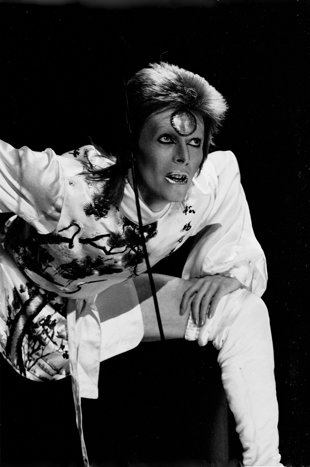 Performing in Los Angeles as Ziggy Stardust.