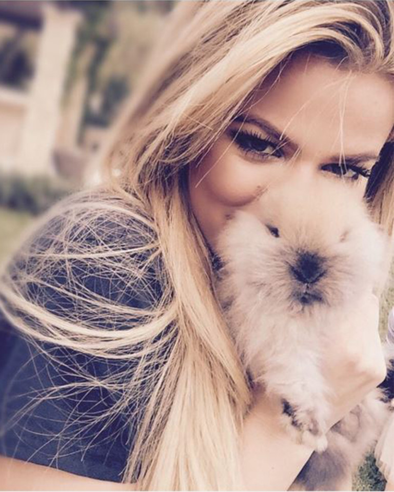 Khloe Kardashian Instagram bunny