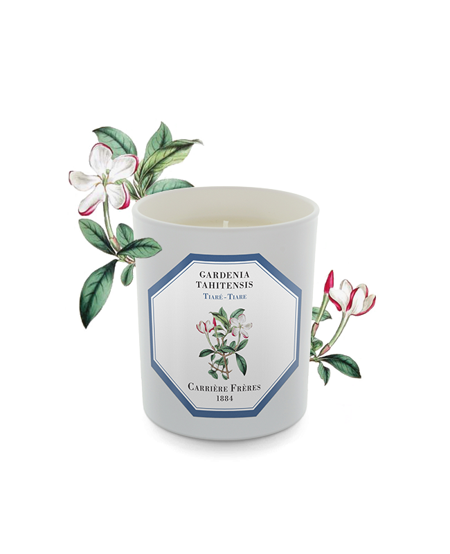 Carriere Freres Gardenia Candle, $80, from WORLD
