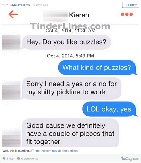 Funniest Tinder profiles full of puns and chat up lines