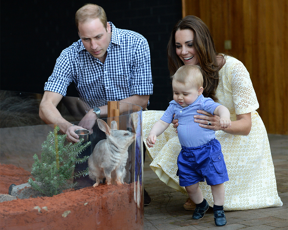 The Duke and Duchess of Cambridge took Prince George to meet a Bilby at the Taronga Zoo in Sydney on April 20, 2014.