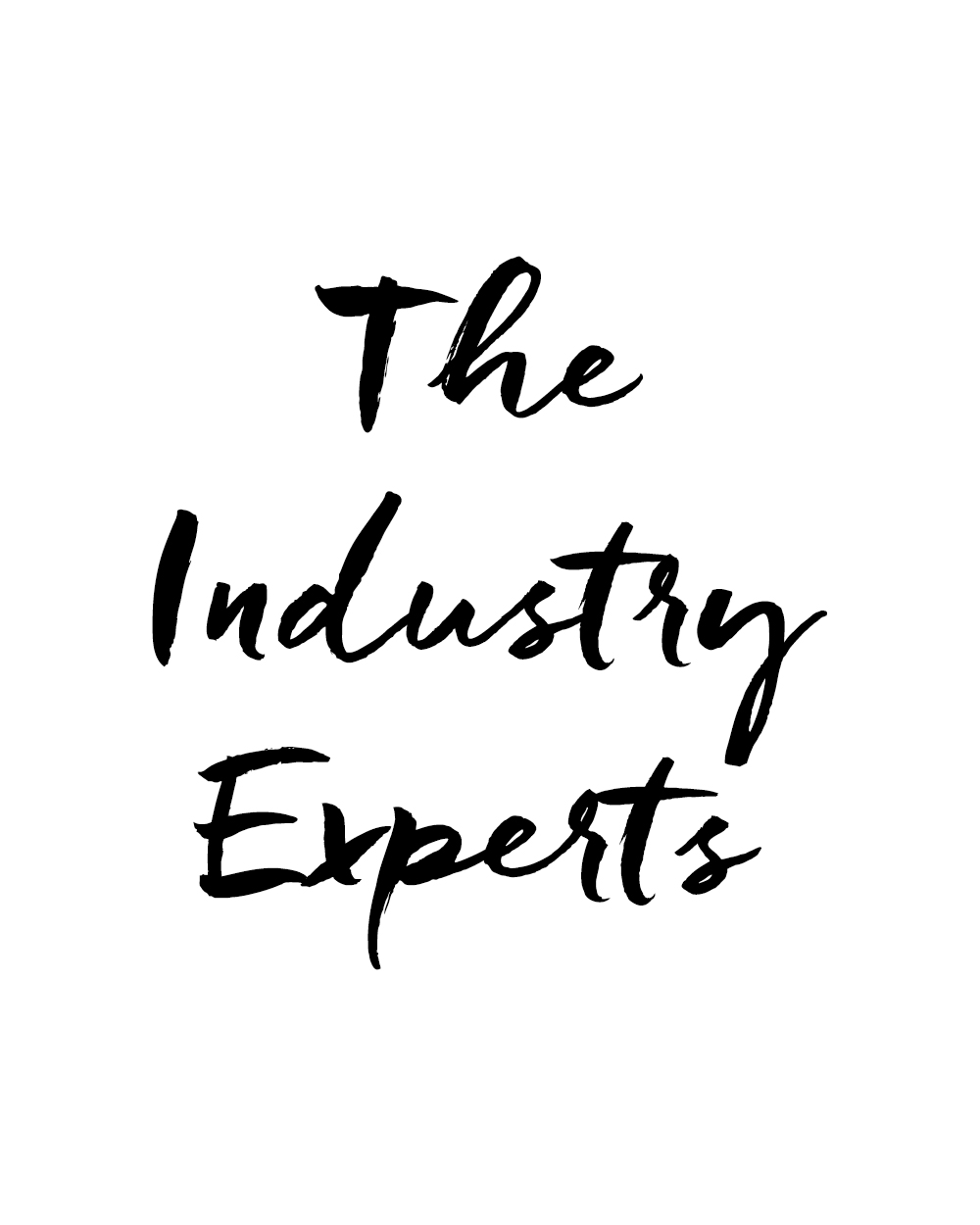 The Industry Experts