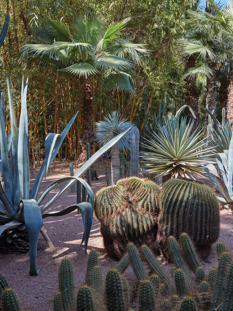 The shapes, texture and history of the grounds of Jardin Majorelle provided inspiration.