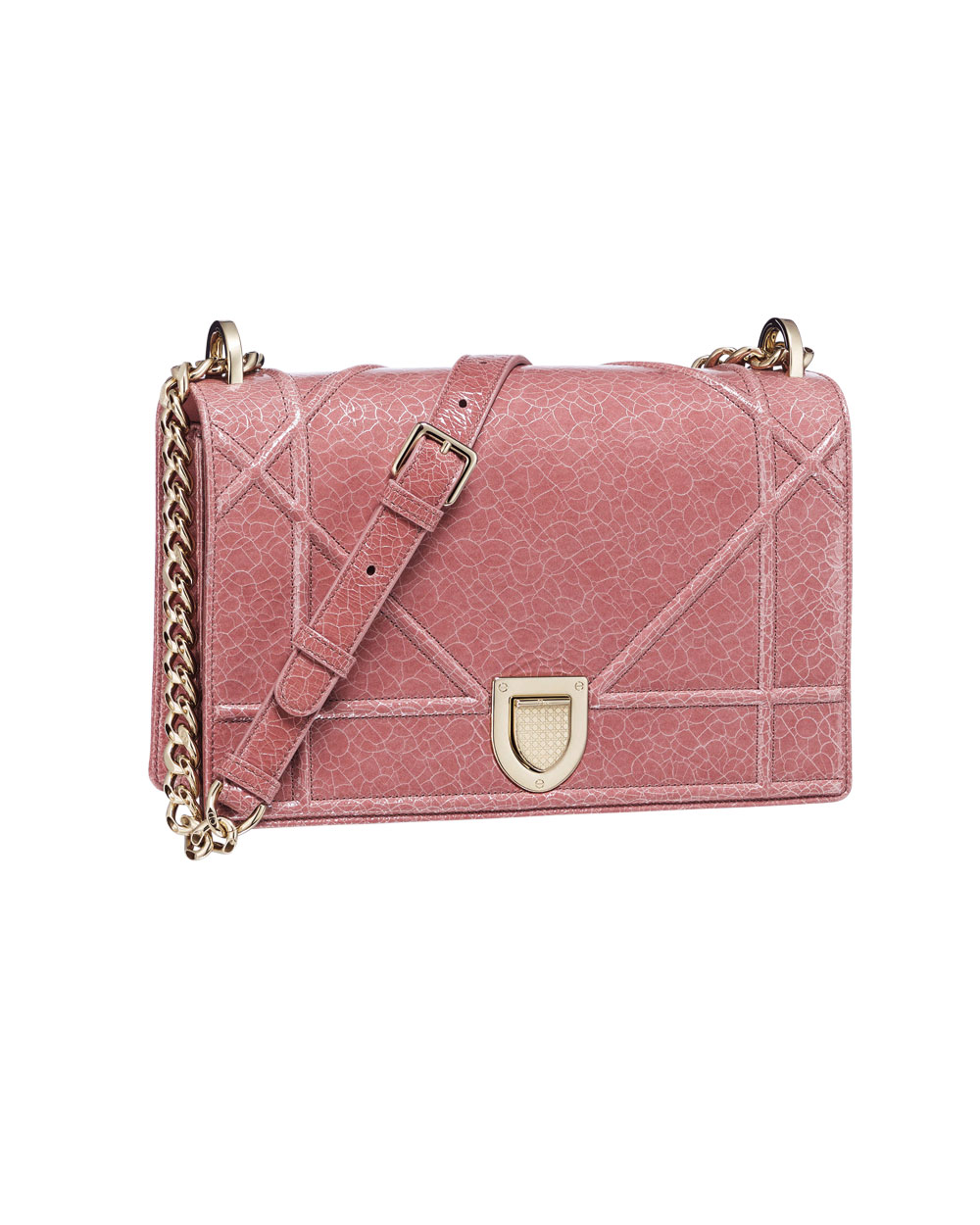 Christian Dior bag, $5500