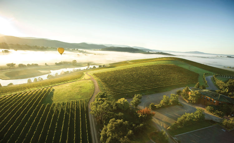 HOT AIR BALLOONING IN THE YARRA VALLEY