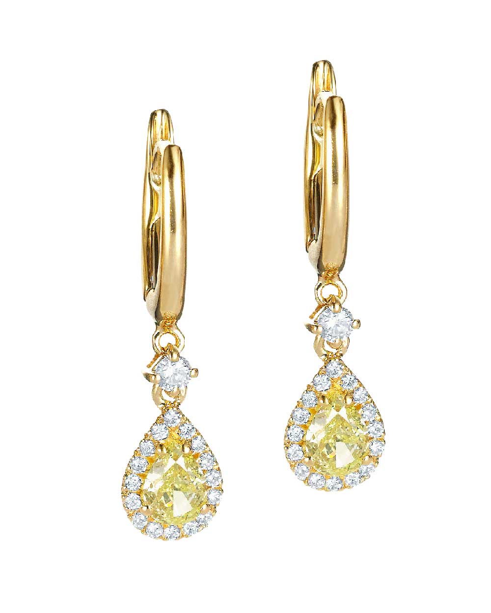 Partridge Jewellers earrings, $4455