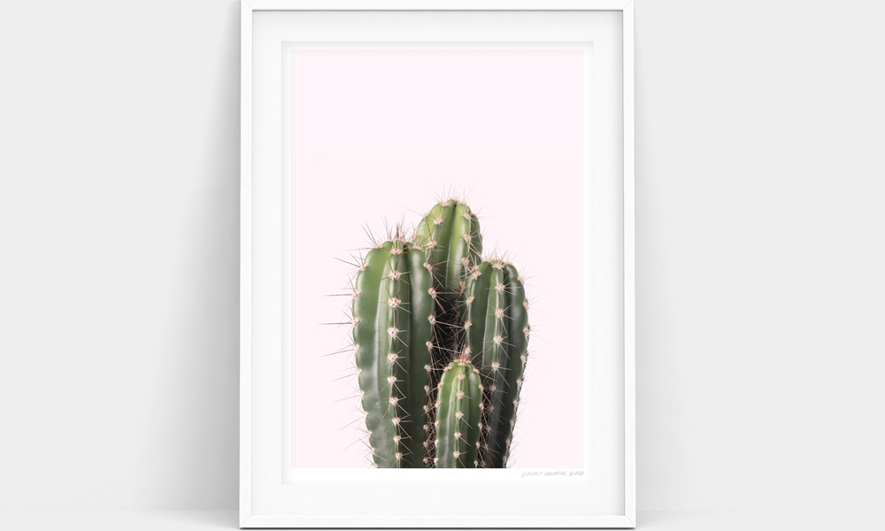 A4 Blush Cactus print $29 from fluxboutique.co.nz