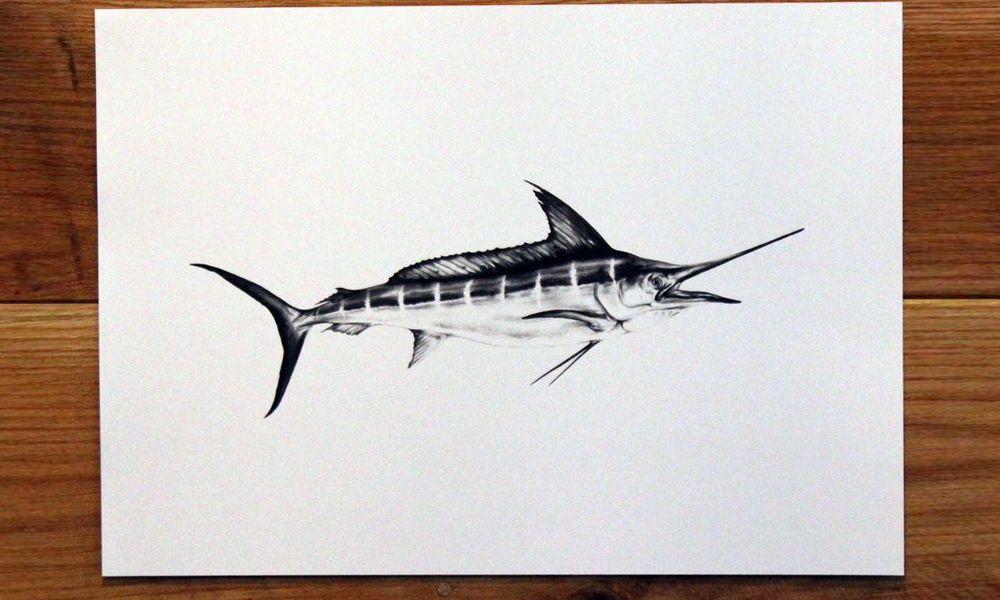 Just Another Fisherman A3 Marlin Print $35 from justanotherfisherman.co.nz