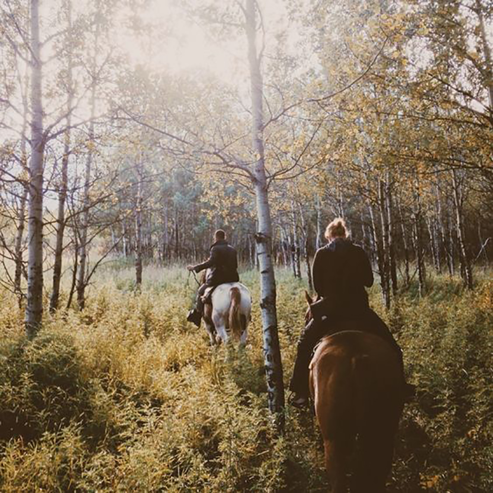 unexpected-and-memorable-Valentine's-Day-activities-horseback-riding