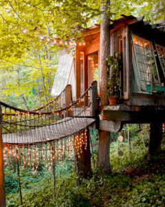 airbnb-treehouse-feature-1000x1250