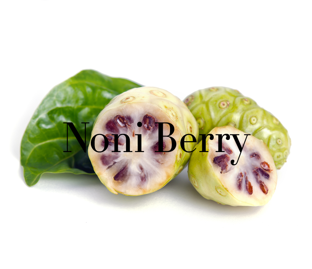 natures-bounty-noni-berry
