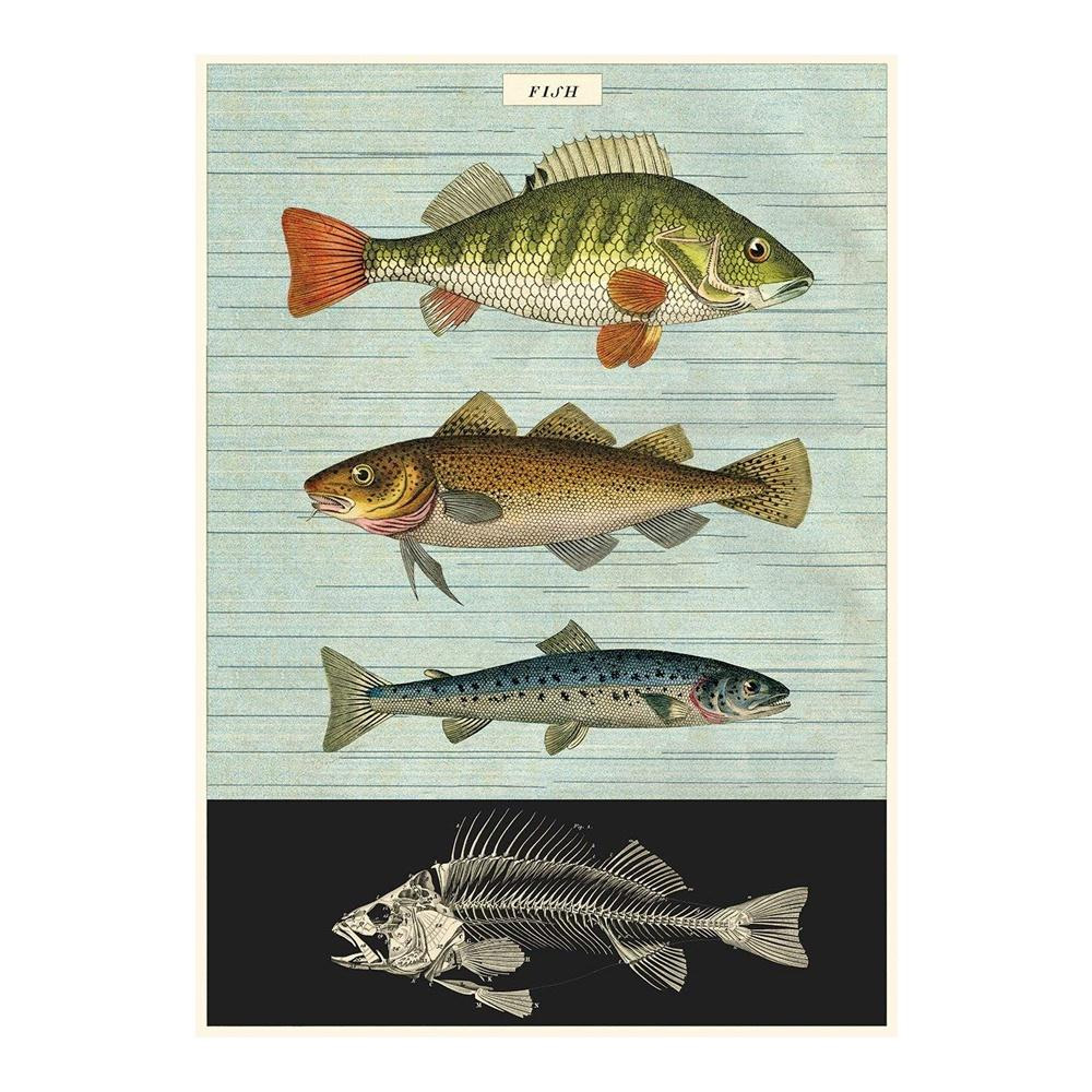 Cavallini Fish Poster, $13 from Iko Iko