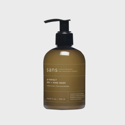 200+ Christmas gift ideas for every person on your list 2018 | Sans pH perfect body wash, $39 from The Shelter