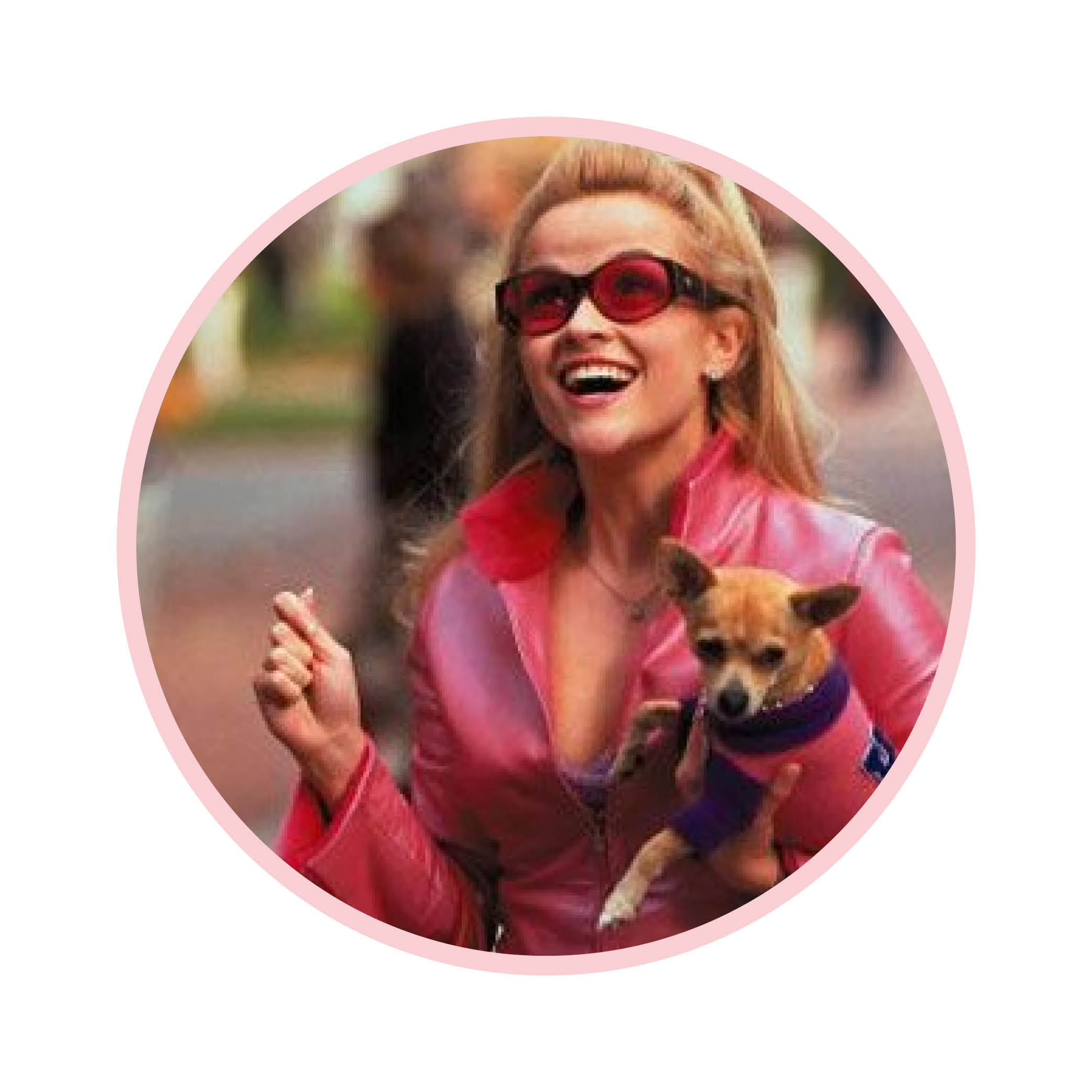 Legally Blonde (2001) The early noughties classic that propelled Reese Witherspoon to mega-stardom is a flick that somehow never gets old.
