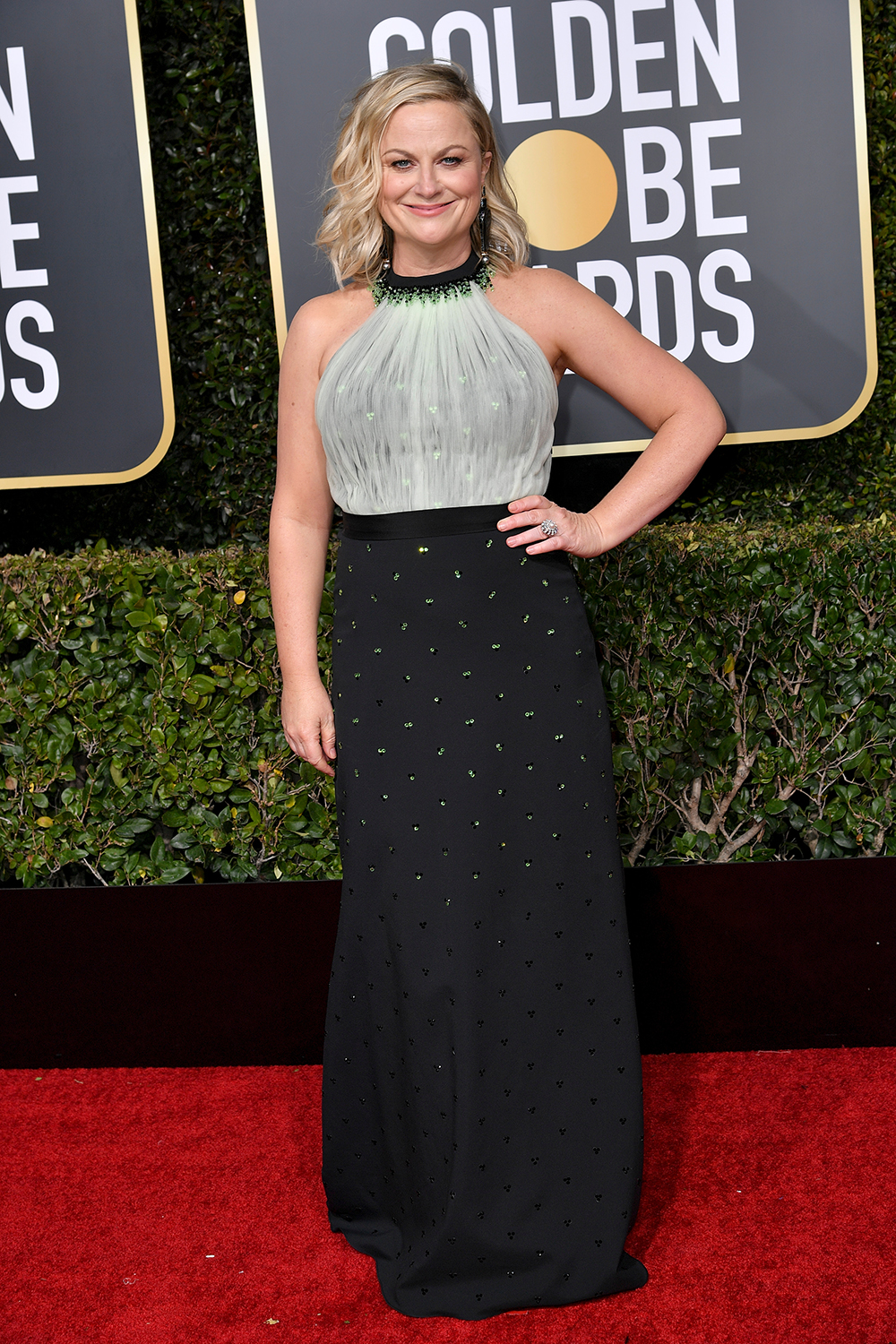 Mandatory Credit: Photo by Rob Latour/REX/Shutterstock (10048066lm) Amy Poehler 76th Annual Golden Globe Awards, Arrivals, Los Angeles, USA - 06 Jan 2019