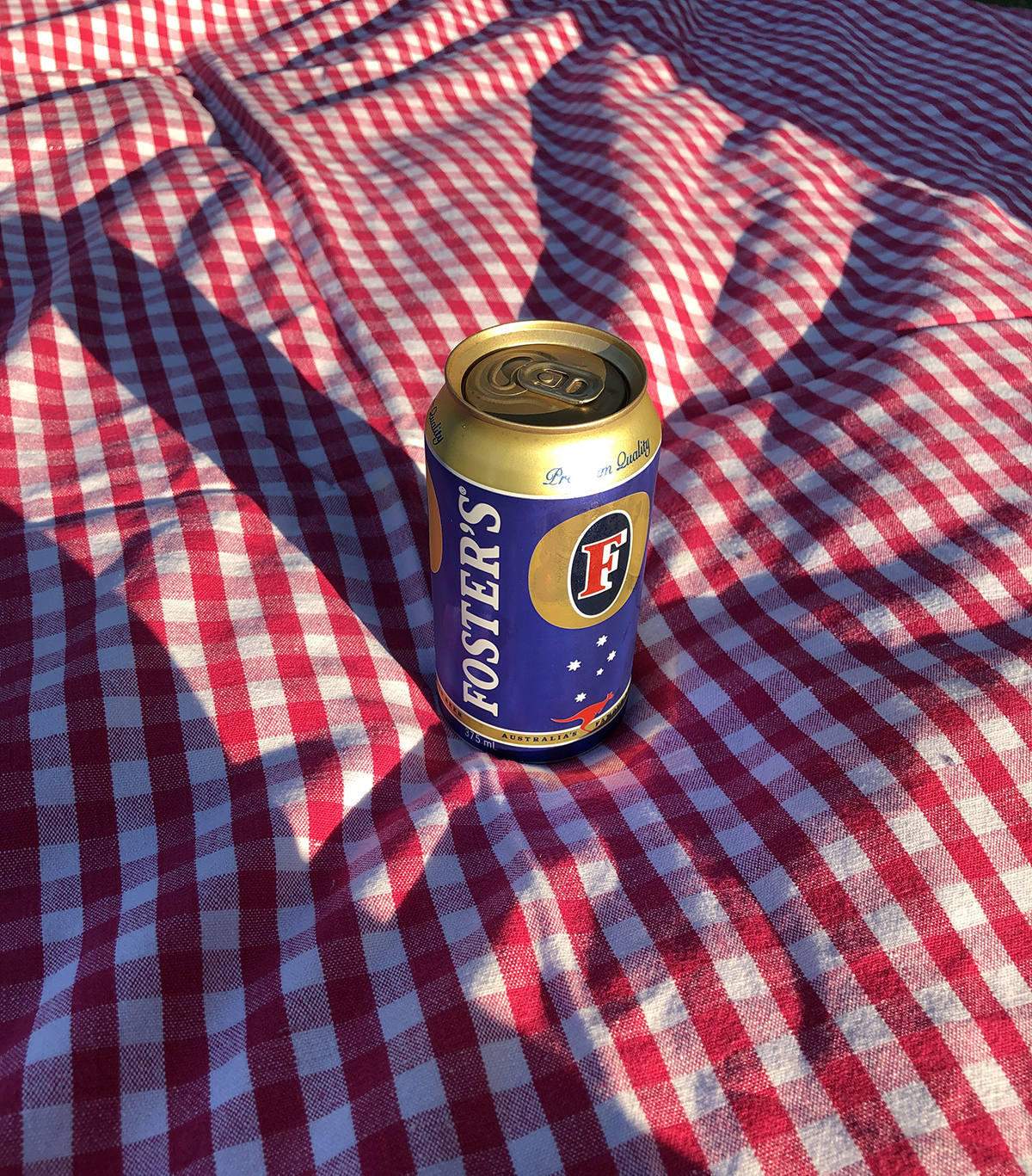 can of vb on a picnic